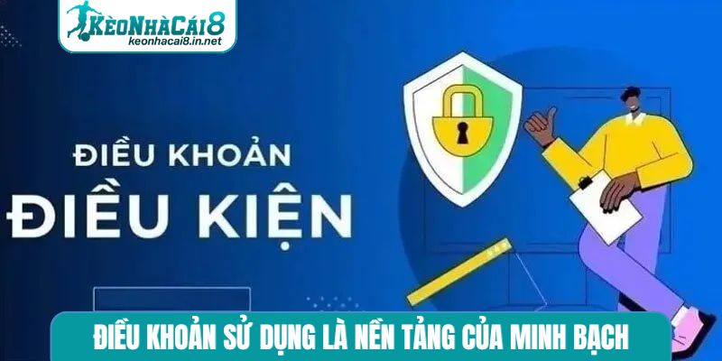 Điều khoản sử dụng là nền tảng của minh bạch