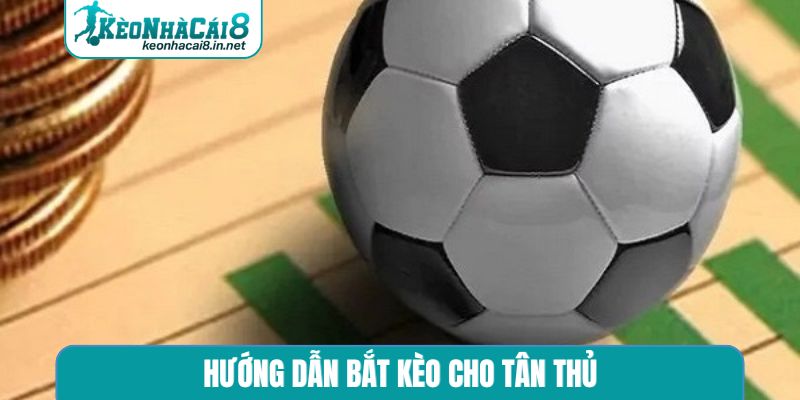 hướng dẫn bắt kèo cho tân thủ