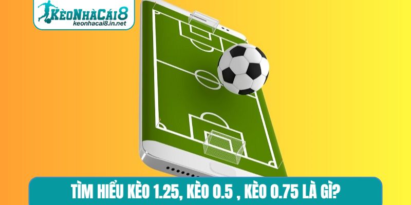 Tìm hiểu kèo 1.25, kèo 0.5 , kèo 0.75 là gì?
