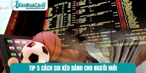 tip 5 cách soi kèo dành cho người mới